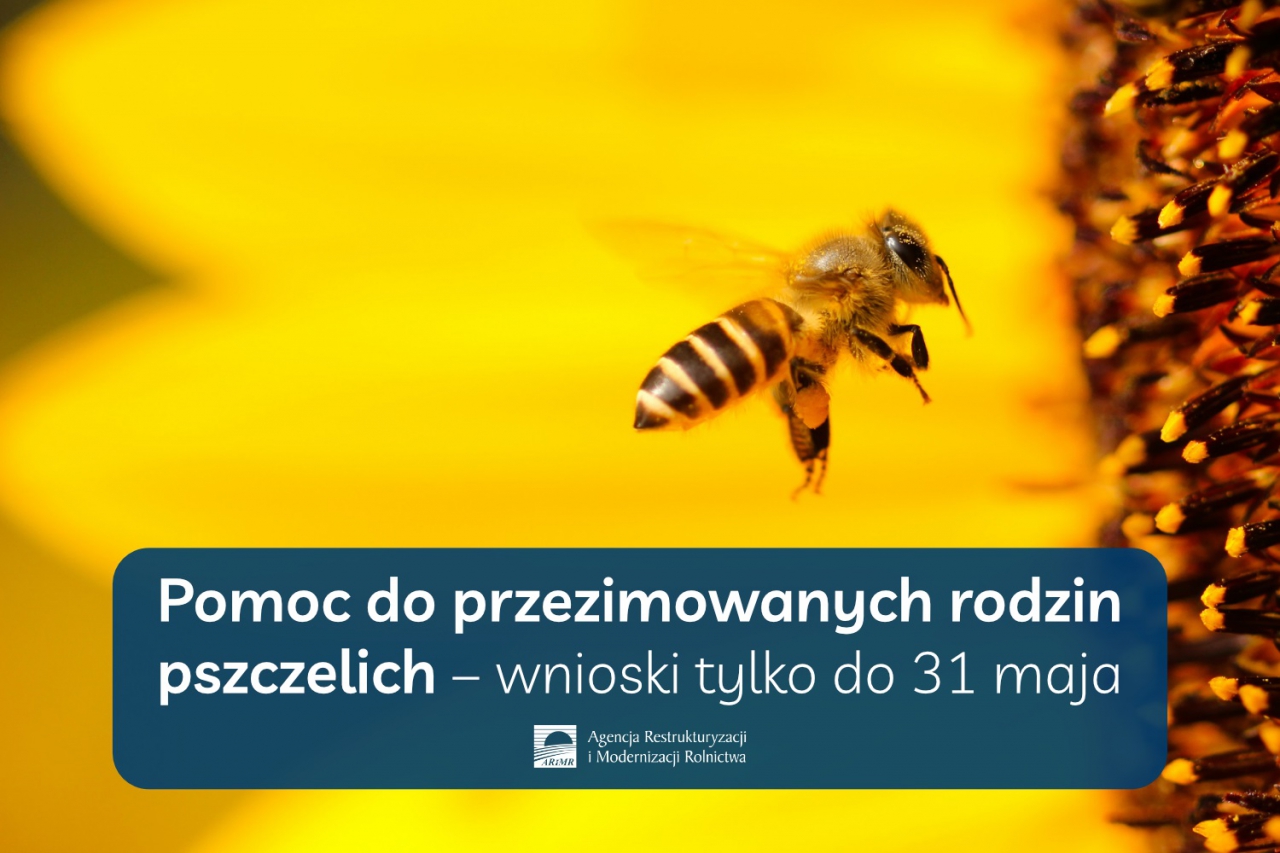Grafika przygotowana przez ARMiR