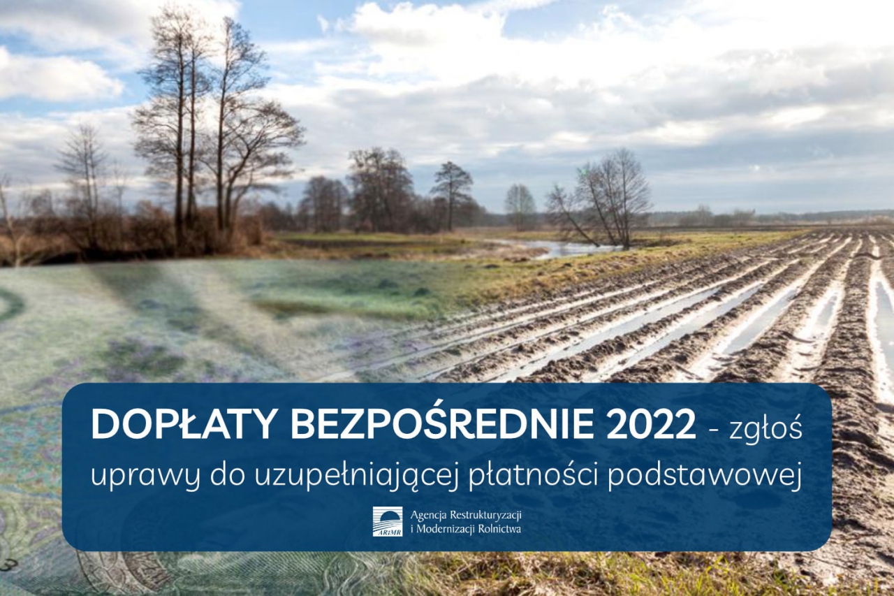 Przypominamy i zachęcamy – zgłoś uprawy do uzupełniającej płatności podstawowej