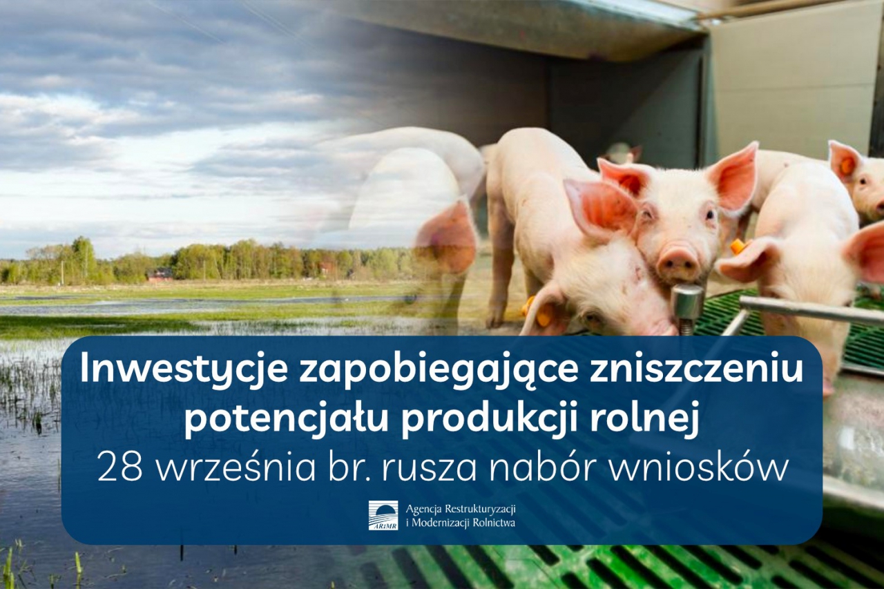 Inwestycje zapobiegające zniszczeniu potencjału produkcji rolnej. 28 września br. rusza nabór wniosków. Logo ARiMR oraz zdjęcie łąki, zbiornika wodnego i świń.