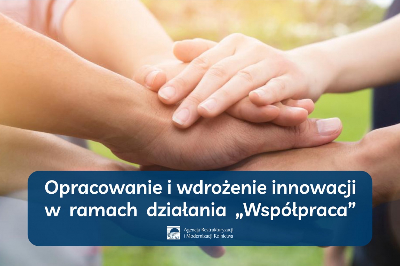 Grafika z tytułem "Opracowanie i wdrożenie innowacji w ramach działania "Współpraca"