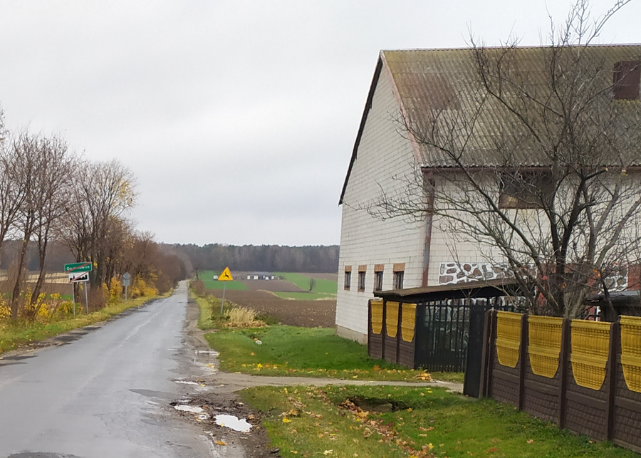 Droga powiatowa w Gościmowicach