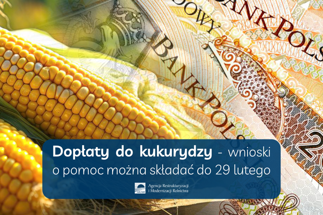 Plakat przygotowany przez organizatora