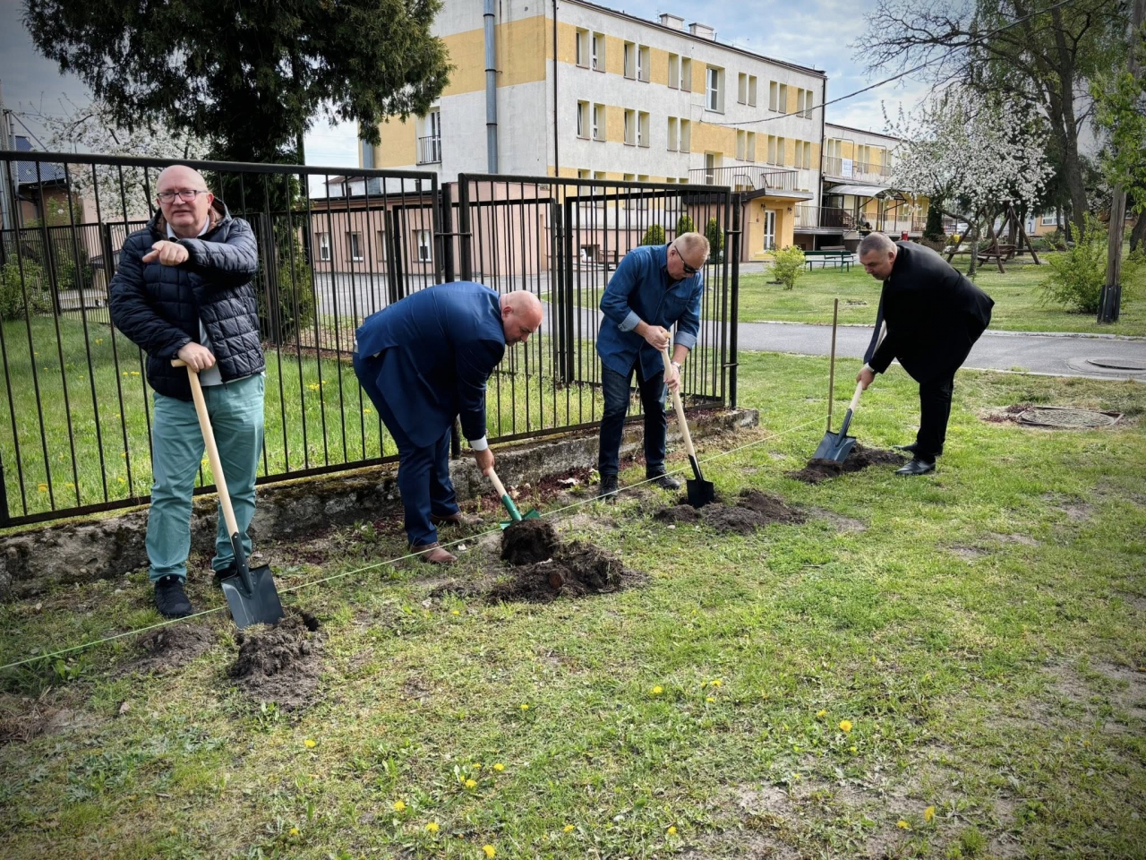Władze powiatu sadzą drzewka