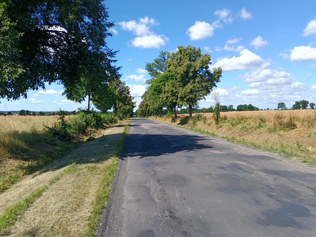 Wymagająca remontu droga powiatowa Wobórz - Tomaszów