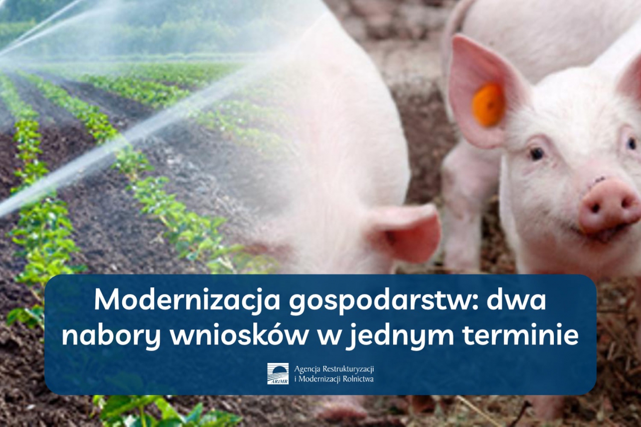 Modernizacja gospodarstw: dwa nabory wniosków w jednym terminie