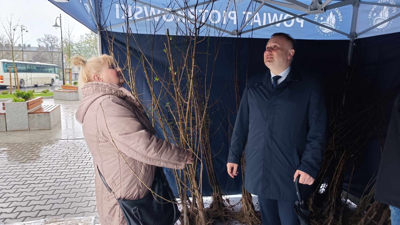 Starosta wybiera drzewko dla uczestniczki akcji