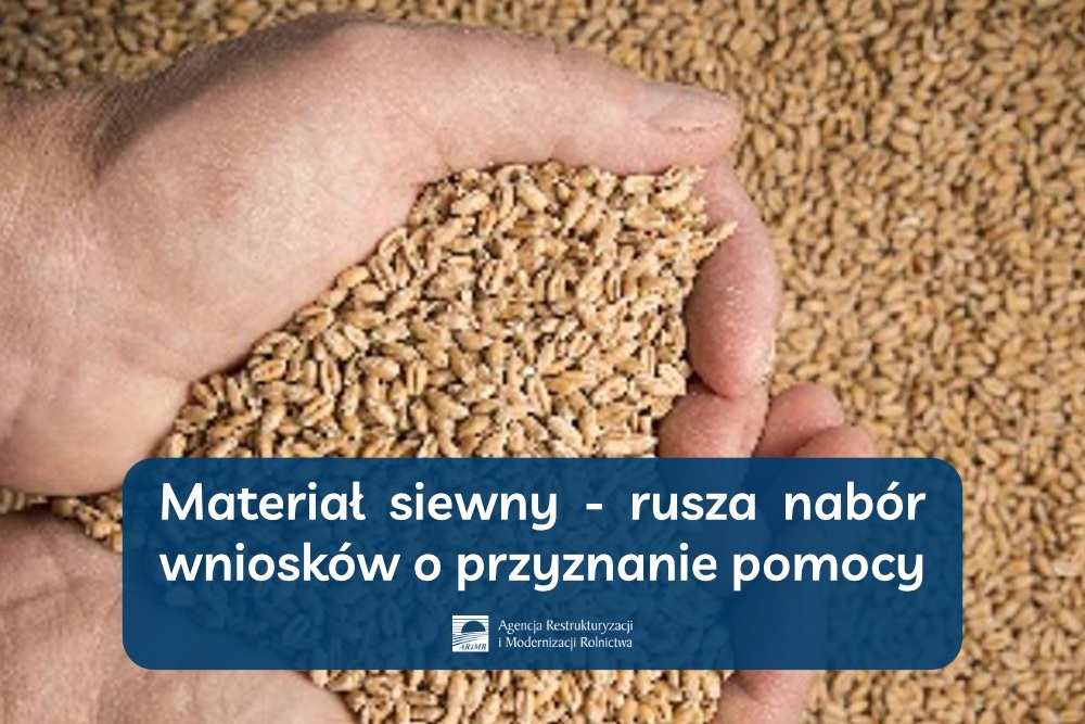 Materiał siewny - ruszył nabór wniosków o przyznanie pomocy