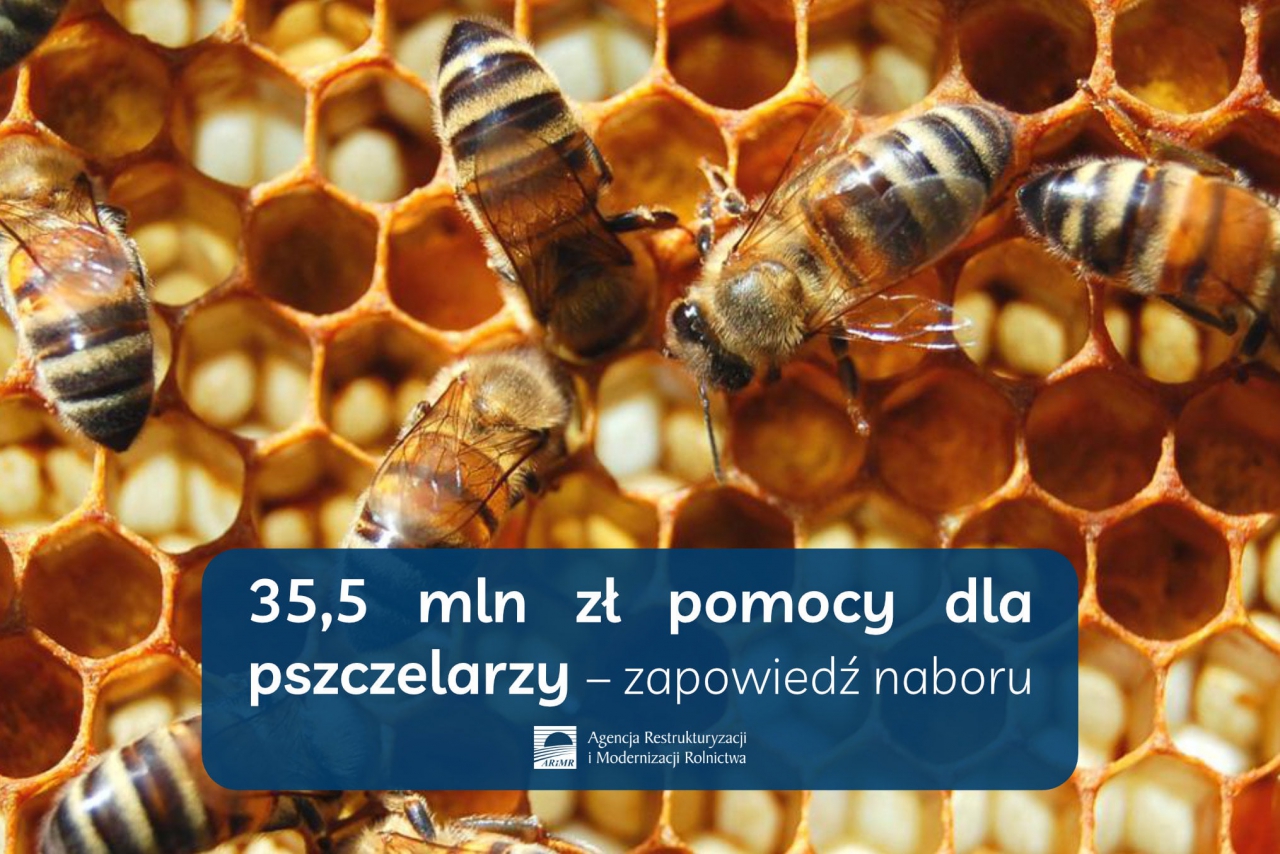 Infografika z napisem 35,5 mln zł pomocy dla pszczelarzy – zapowiedź naboru
