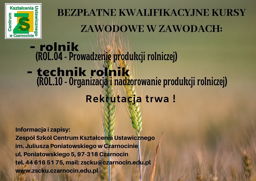 Infografika z kursami kwalifikacyjnymi w szkola w Czarnocinie
